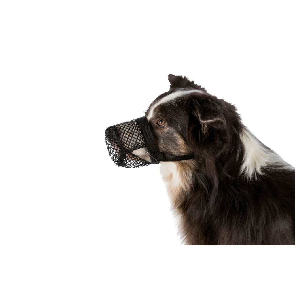 Намордник для собак Trixie для защиты от ядов M-L 27 см/22-46 см (4011905175942) изображение 2