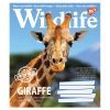 Зошит Yes А5 Wild life 96 аркушів, лінія (766133) зображення 3