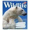 Зошит Yes А5 Wild life 96 аркушів, лінія (766133) зображення 5