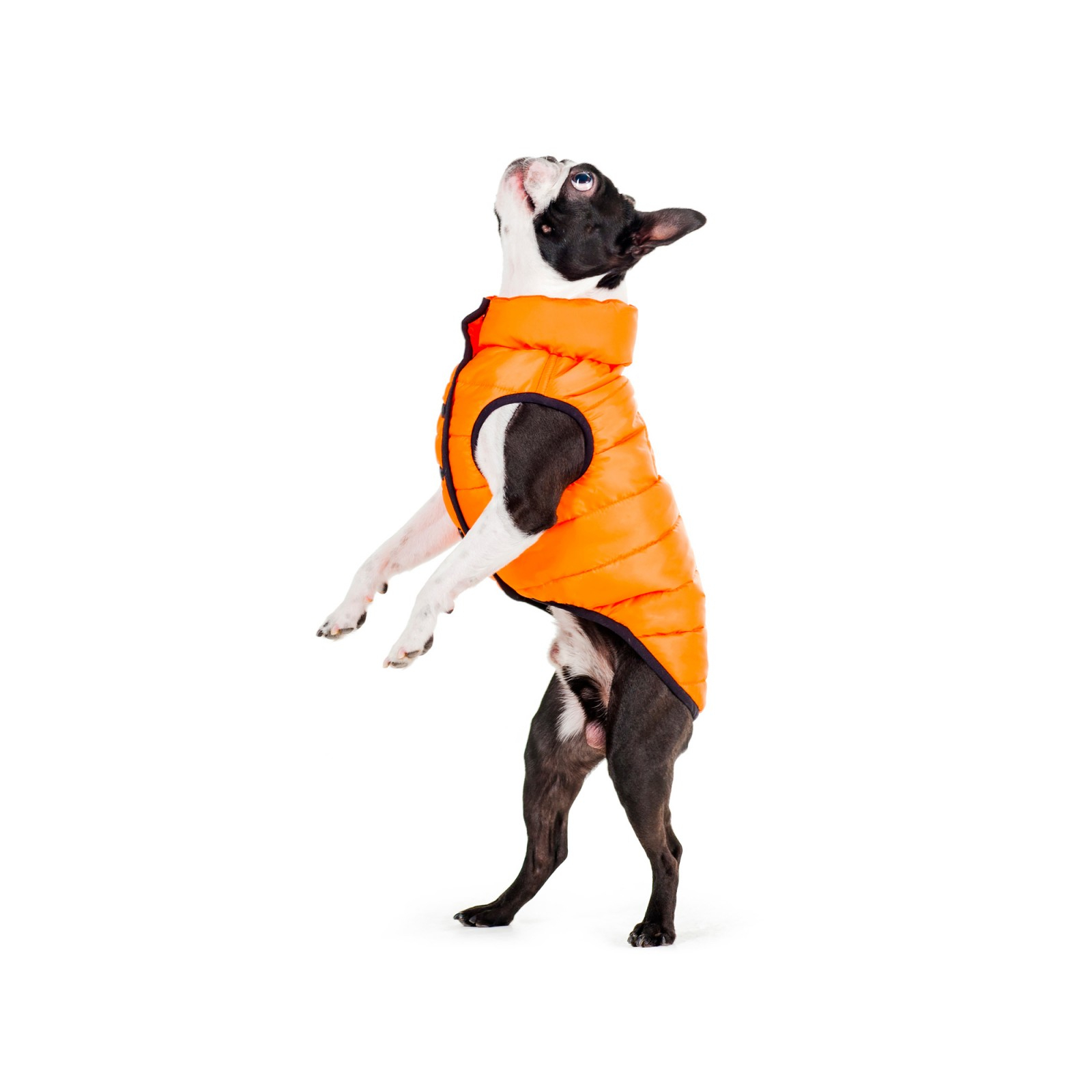 Курточка для животных Airy Vest One М 47 оранжевая (20694) изображение 2