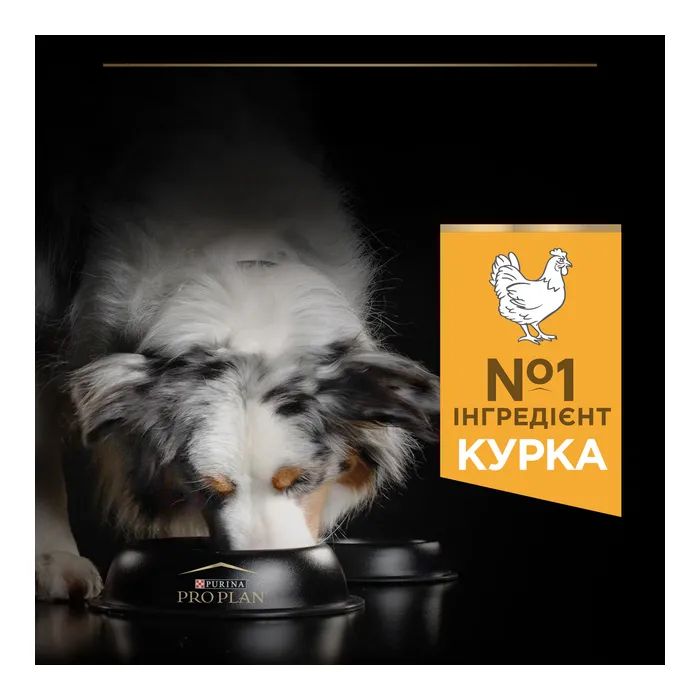 Сухий корм для собак Purina Pro Plan Dog Medium Adult з куркою 3 кг (7613035114807) зображення 6
