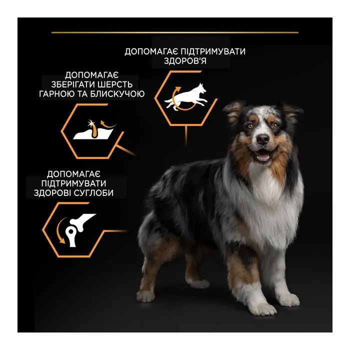 Сухий корм для собак Purina Pro Plan Dog Medium Adult з куркою 3 кг (7613035114807) зображення 7