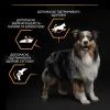 Сухий корм для собак Purina Pro Plan Dog Medium Adult з куркою 3 кг (7613035114807) зображення 7