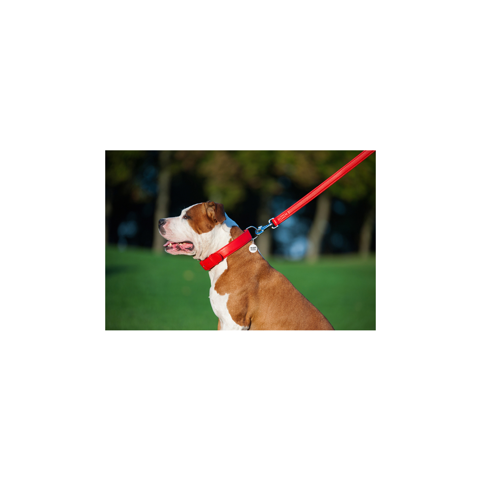 Повідок для собак WAUDOG Glamour шкіряний M-XXL червоний (33763) зображення 7