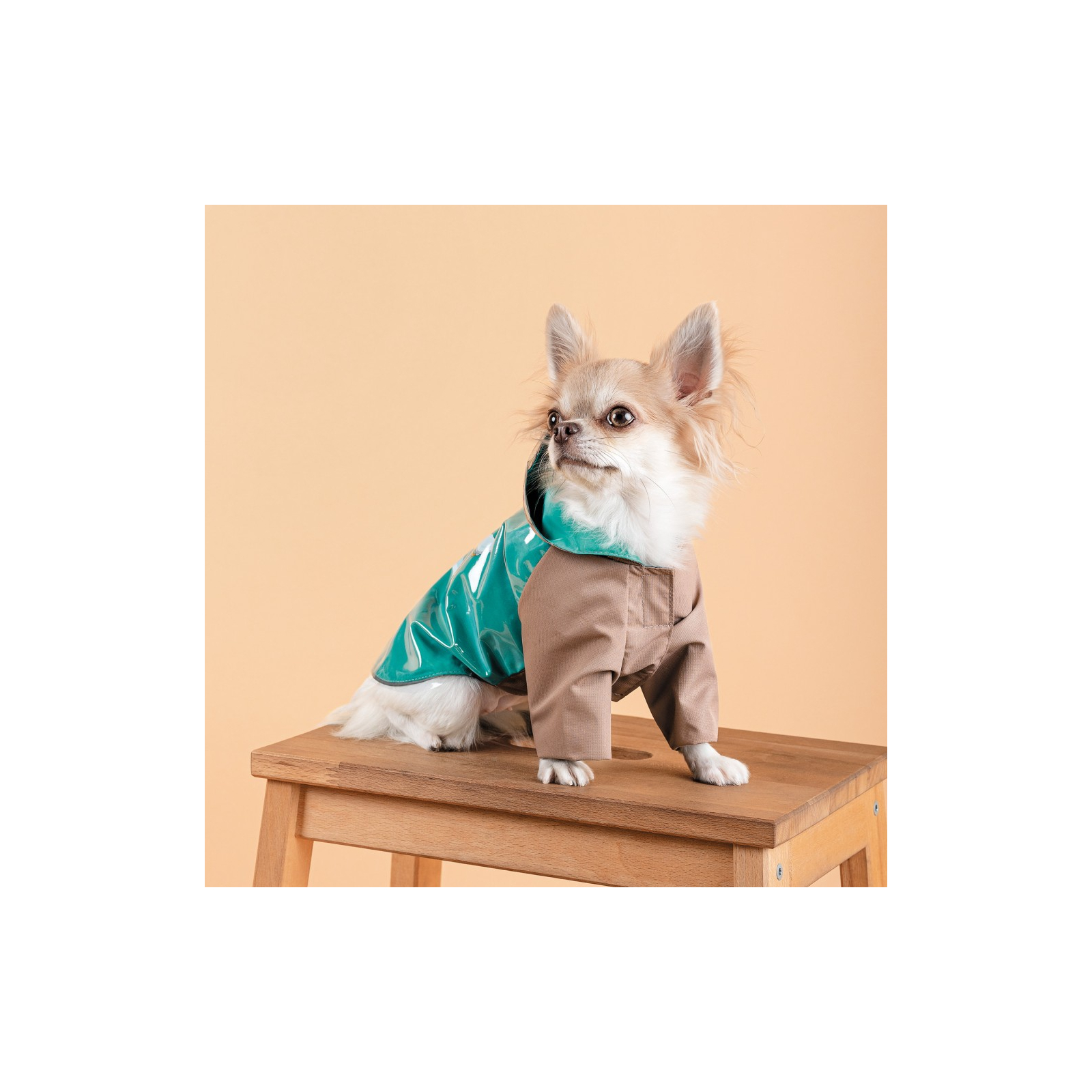 Дождевик для животных Pet Fashion Semmy XS2 (4823082434503) изображение 6