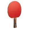 Комплект для настільного тенісу Joola Family Advanced 4 Bats 6 Balls (54823) (930800) зображення 2