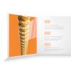 Струни для гітари D'Addario XS 80/20 Bronze Extra Light (10-47) (XSABR1047) зображення 4