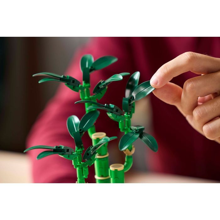 Конструктор LEGO Botanicals Бамбук счастья (10344) изображение 9