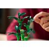 Конструктор LEGO Botanicals Бамбук счастья (10344) изображение 9