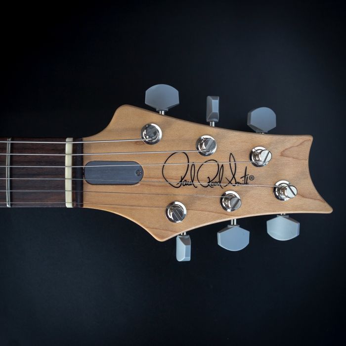 Электрогитара PRS Silver Sky Frost изображение 11