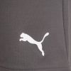 Шорти Puma teamRISE Short 704942-13 сірий L (4063699212068) зображення 6