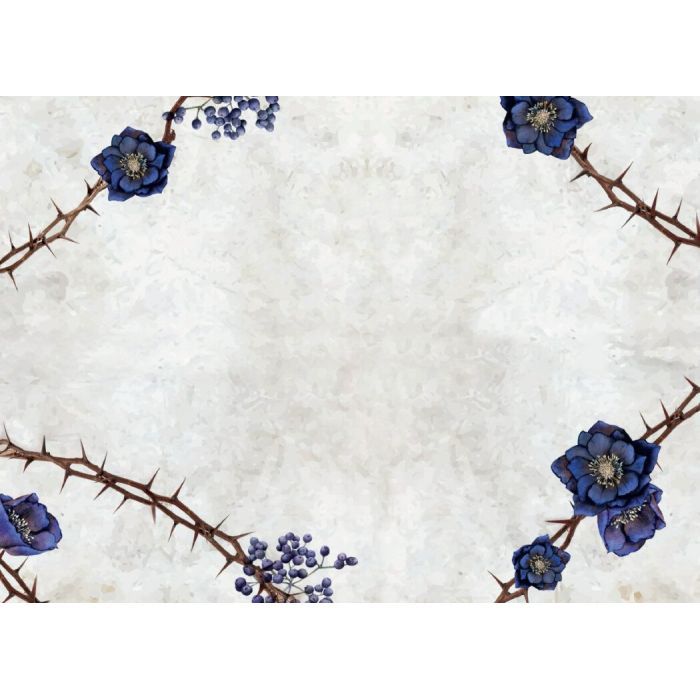 Книга Сага сестер-відьом. Сестра зірок - Мара Вульф Readberry (9786170986962) изображение 2