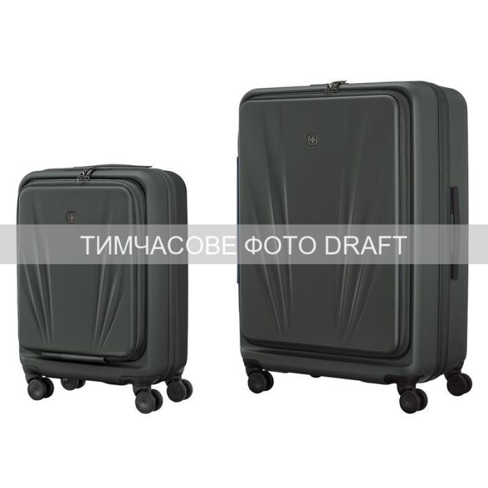 Набор чемоданов Wenger Skyon Hardside (S+L), сірі (653570)