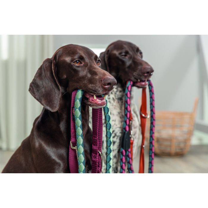 Поводок для собак Trixie Premium регулируемый двухслойный XS-S 2 м 15 мм песочный (4053032673526) изображение 3