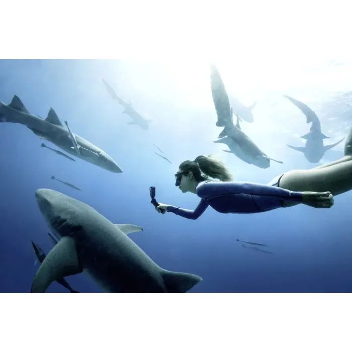 Екшн-камера DJI Osmo Action 4 Standard Combo (OS.00000269.01) зображення 9