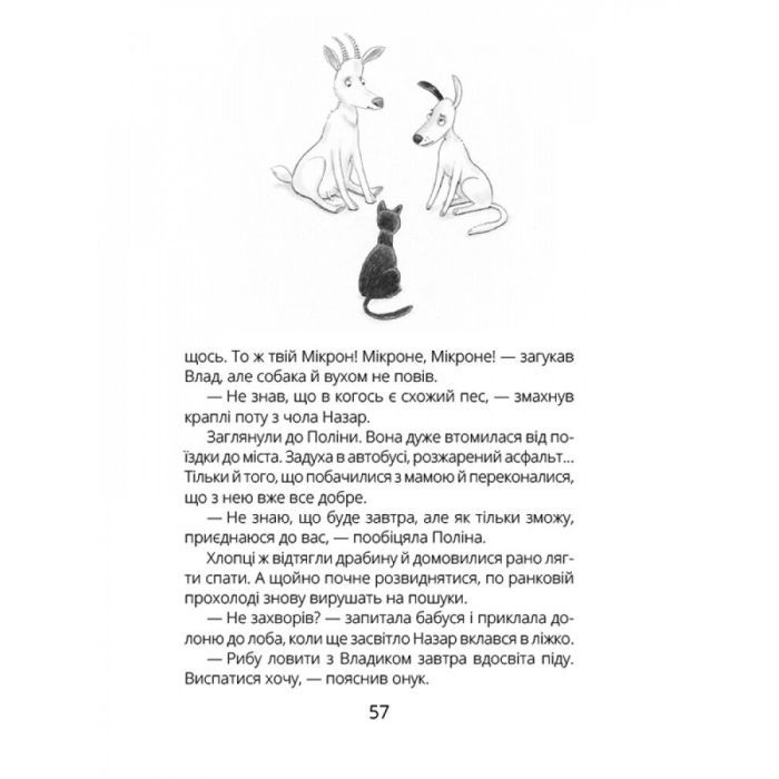 Книга НЛО за селом - Н. Бонь Ранок (9786170962881) зображення 6