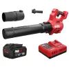 Воздуходувка Skil 0331 CA, бесщеточная, 4.0 Ah, ЗП (GB1E0331CA+BC1E3111A)