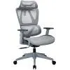 Офісне крісло OfficePro Anvio, OC590G (OC590G) зображення 2