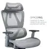 Офісне крісло OfficePro Anvio, OC590G (OC590G) зображення 6