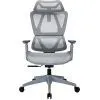 Офісне крісло OfficePro Anvio, OC590G (OC590G)