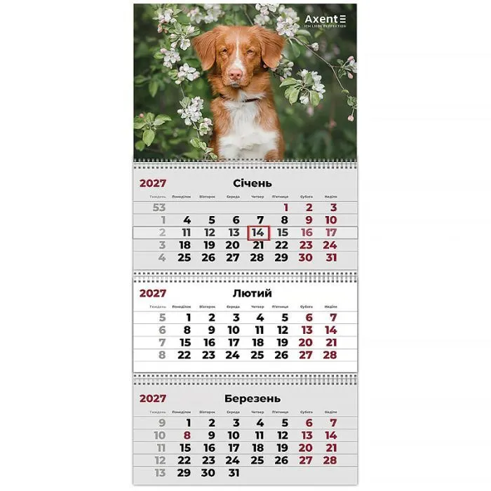 Календар Axent настінний квартальний 2027 рік 3 пр. Dogs 2 (8803-27-11-A)