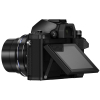 Цифровой фотоаппарат Olympus E-M10 mark II Pancake Zoom 14-42 Kit black/black (V207052BE000) изображение 6