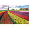 Пазл Eurographics Поле тюльпанов в Нидерландах 1000 элементов (6000-5326) изображение 2