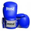Боксерские перчатки PowerPlay 3019 10oz Blue (PP_3019_10oz_Blue)