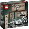 Конструктор LEGO Ideas Останки динозавра (21320) изображение 12