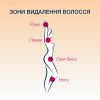Воск для депиляции Veet теплый с эфирными маслами 250 мл (8002990293235) изображение 4