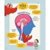 Книга Книжка про мозок і те, як він працює - Бетіна Іп #книголав (9786178012243) зображення 4