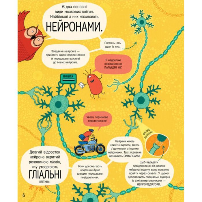 Книга Книжка про мозок і те, як він працює - Бетіна Іп #книголав (9786178012243) изображение 6