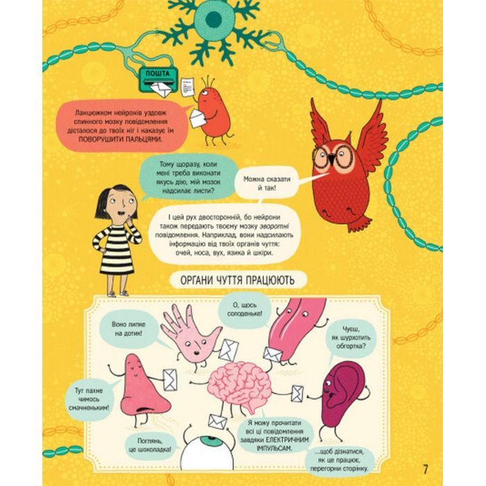 Книга Книжка про мозок і те, як він працює - Бетіна Іп #книголав (9786178012243) изображение 7