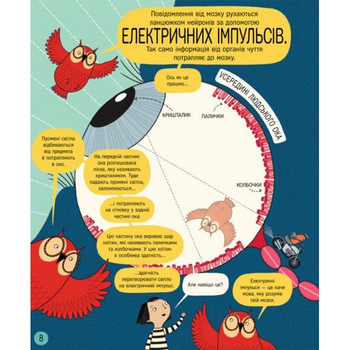 Книга Книжка про мозок і те, як він працює - Бетіна Іп #книголав (9786178012243) изображение 8