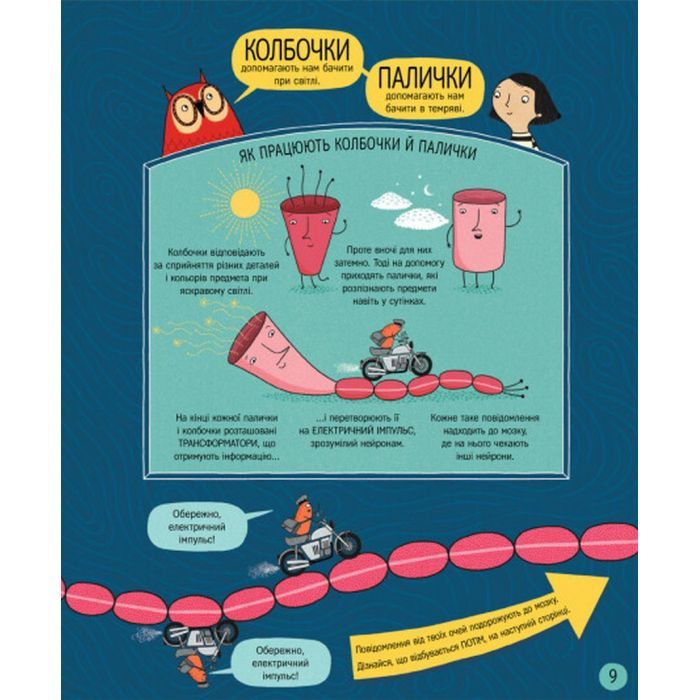 Книга Книжка про мозок і те, як він працює - Бетіна Іп #книголав (9786178012243) изображение 9