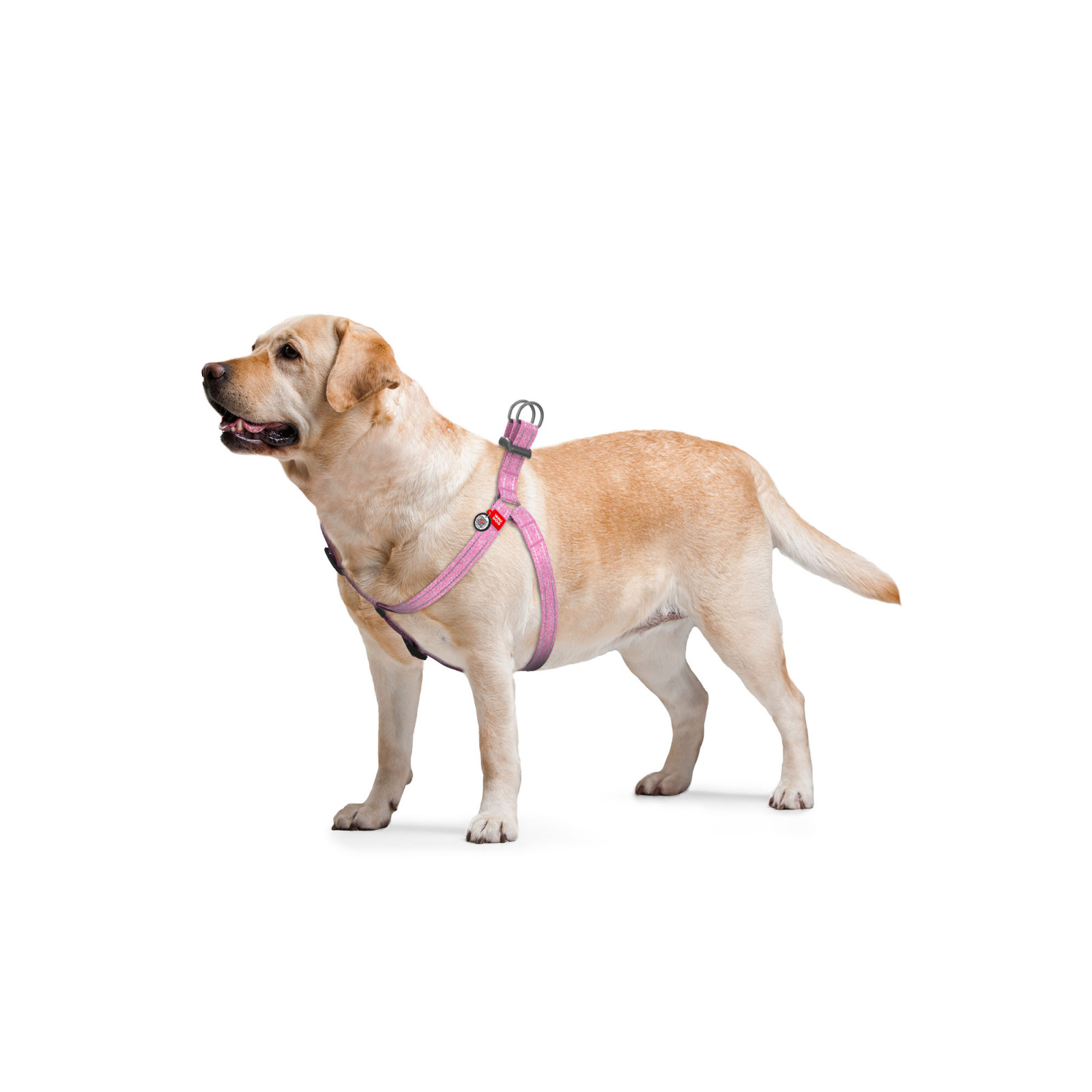 Шлея для собак WAUDOG Re-cotton з QR-паспортом S рожева (03247) зображення 5
