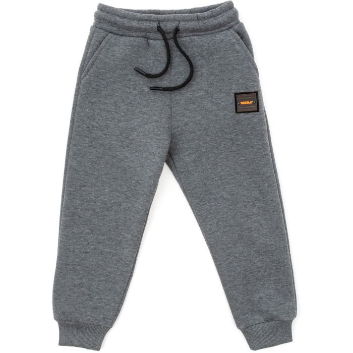 Штаны детские Cloise спортивные флисовые (CL0155019-140B-gray)