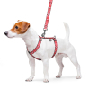 Шлей для собак WAUDOG Nylon анатомическая H-образная "Этно красный" М (5590) изображение 3