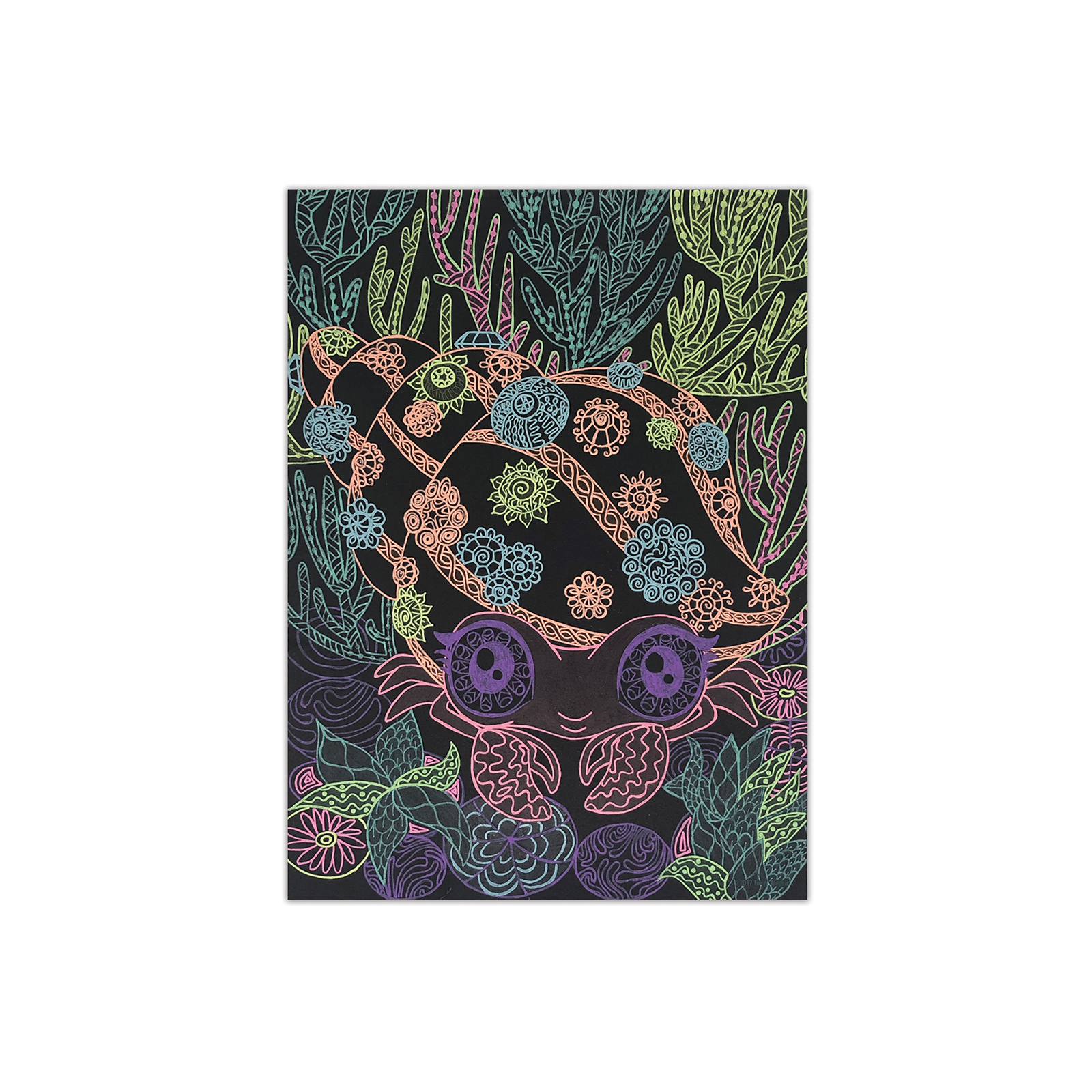 Набор для творчества Nebulous Stars Раскраска: Коралия, черные листы (11111) изображение 5