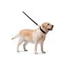 Повідець для собак WAUDOG Glamour шкіряний M-XXL чорний (33761) зображення 3