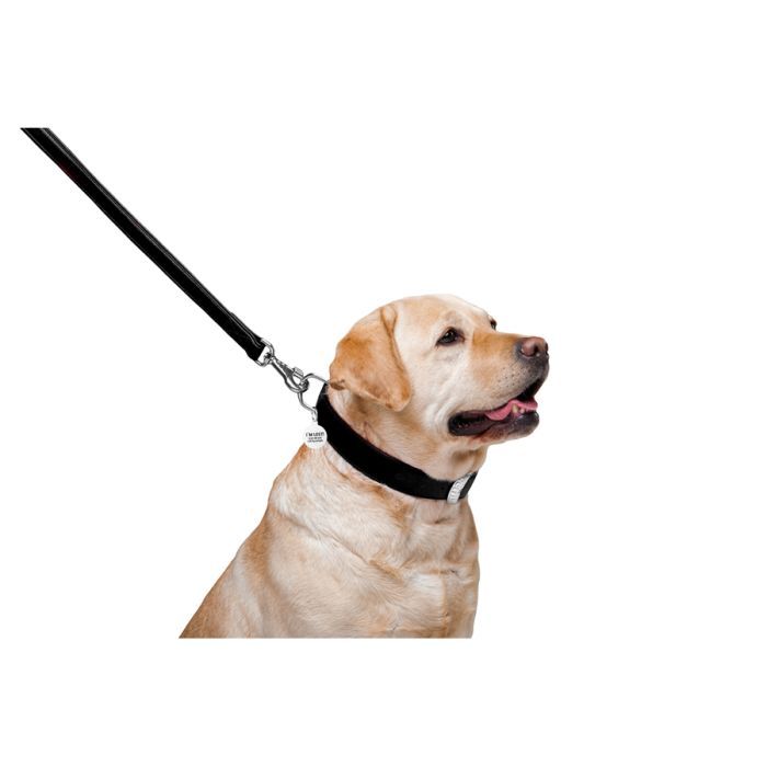 Повідець для собак WAUDOG Glamour шкіряний M-XXL червоний (33763) зображення 4
