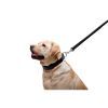 Повідець для собак WAUDOG Glamour шкіряний M-XXL чорний (33761) зображення 5
