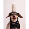 Шампунь для тварин Sister's Aroma Smart Pet Shampoo 250 мл (4820227781720) зображення 7