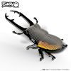 Пазл Eugy 3D Зоопарк Жук-олень (XEG-114) изображение 5