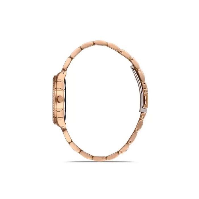 Наручные часы Ferro FL21286A-C6 изображение 2