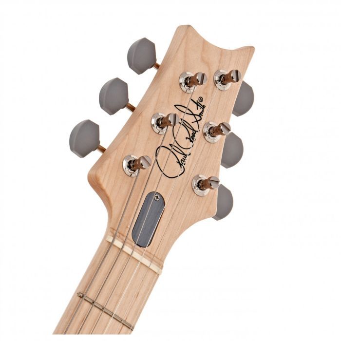 Электрогитара PRS Silver Sky Frost изображение 7