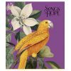 Тетрадь Школярик Birds 60 листов клетка (060-3410K) изображение 3