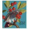 Тетрадь Школярик Birds 60 листов клетка (060-3410K)