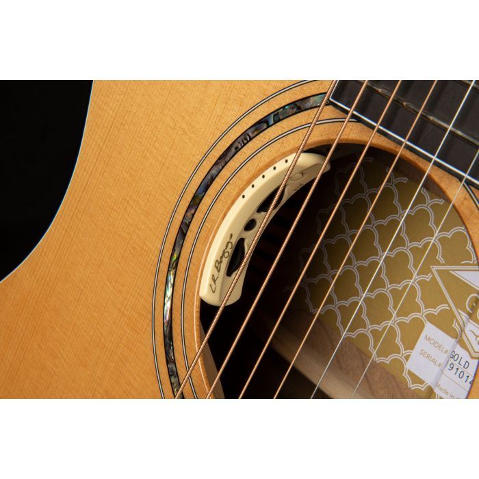 Гітара електроакустична Cort Gold-Edge зображення 5