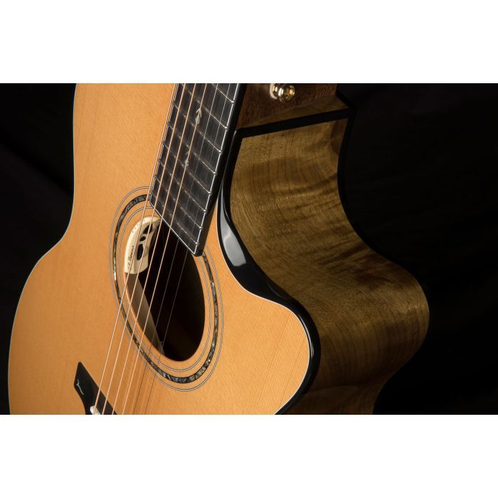 Гітара електроакустична Cort Gold-Edge зображення 6